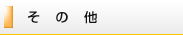 その他